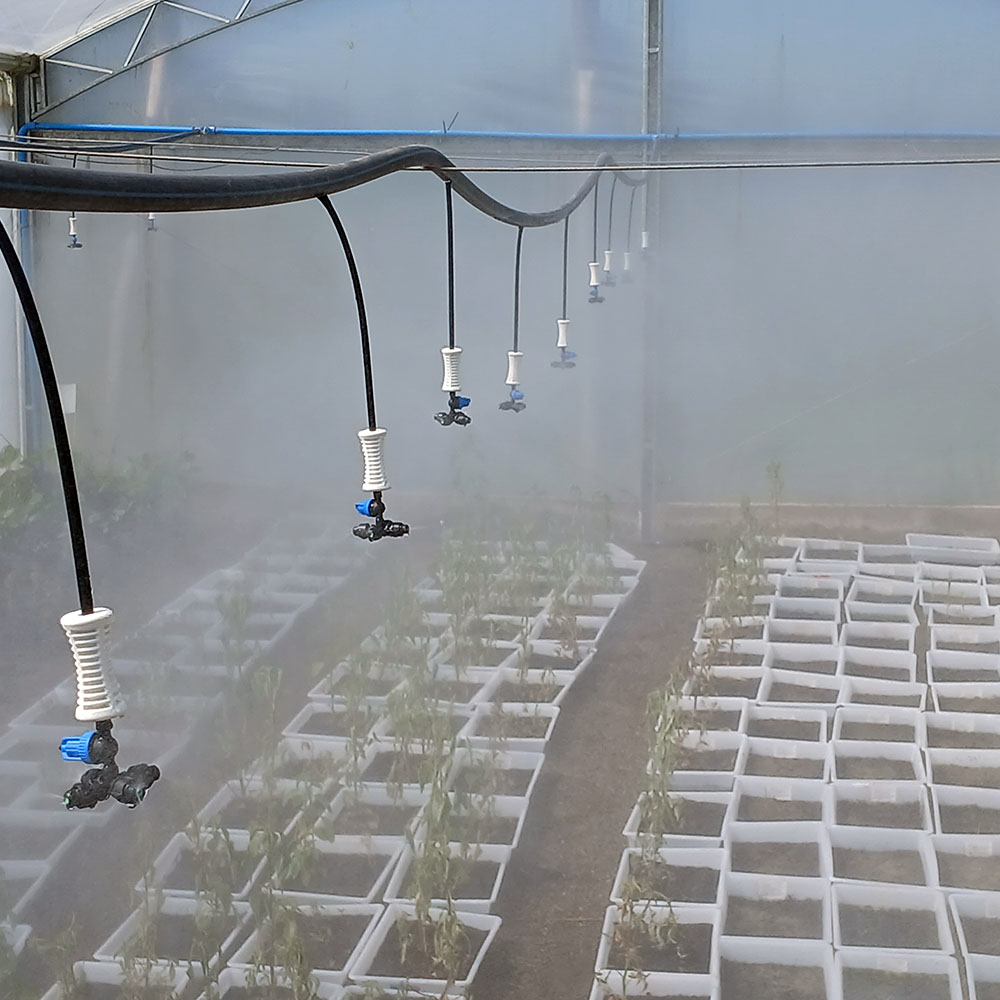 💧 Como escolher o sistema de irrigação ideal para sua produção
Cada cultura e propriedade tem necessidades diferentes:
🔹 Aspersão – cobre áreas médias/grandes, bom para gramados e hortaliças em campo aberto
🔹 Microaspersão – irrigação localizada com gotas finas, ideal para canteiros e frutíferas de porte médio
🔹 Gotejamento – entrega água direto na raiz, máxima economia para frutíferas e culturas de ciclo longo
🔹 Nebulização – controla umidade e temperatura; excelente em estufas, viveiros e para reduzir estresse em mudas

✅ Avalie tipo de solo, clima, estágio da planta e orçamento antes de decidir.
💭 Qual desses você usa mais — ou combina vários? Comenta abaixo.
.
Conheça o nosso trabalho, acesse o link na bio. 
.
Há mais de 40 anos irrigando solo gaúcho 🚜💧🌱
.
#Irrigação #Nebulização #Microaspersão #Agronegócio #PequenosProdutores #SistemasDeIrrigação #DicaDoCampo #ProduçãoRural #PlantioCerto #EconomiaDeÁgua #EstufasAgrícolas #AgroBrasil #IrrigacaoAraguaia #SistemadeIrrigacao #Agricultura #Cultivo #Plantio #Lavoura #RioGrandedoSul