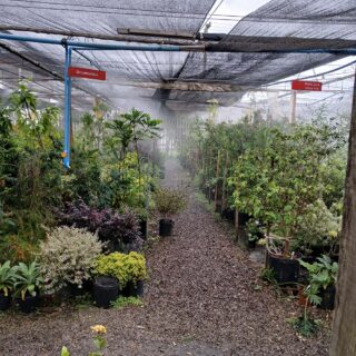 🌱 Cultura em estufas: produção protegida o ano todo
As estufas permitem cultivar em qualquer estação, protegendo as plantas contra frio, calor excessivo, vento e pragas.
✔️ Controle de temperatura e umidade
✔️ Produção mais previsível
✔️ Menos uso de defensivos químicos
✔️ Maior qualidade e produtividade

💡 Dica: escolha a cobertura adequada (plástico, vidro ou filme agrícola) e mantenha boa ventilação para evitar doenças.
.
Acesse o link na bio e faça um orçamento 🚜💧
.
Quem irriga, cresce 🌱
.
#CulturaEmEstufas #Agronegócio #ProduçãoProtegida #AgriculturaSustentável #AgroBrasil #EstufasAgrícolas #DicaDoCampo #IrrigacaoAraguaia #SistemadeIrrigacao #irrigacao #Agricultura #Cultivo #Plantio #Lavoura #RioGrandedoSul