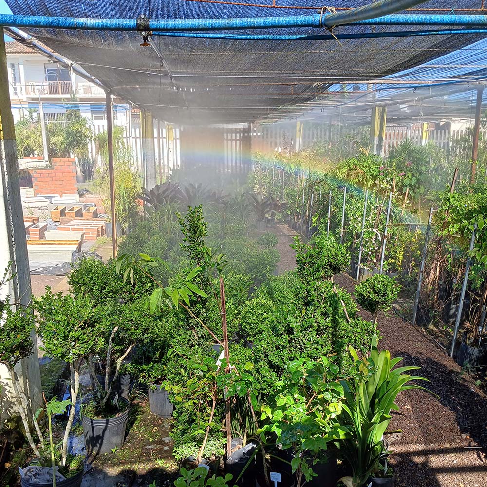 Estufas: O Clima sob seu controle. 🌱 
Dentro da estufa, quem manda no clima é você. Com nossos sistemas de microaspersão e nebulização, você garante a umidade ideal mesmo nos dias mais secos. 
.
Há mais de 40 anos irrigando solo gaúcho. 
Peça o seu orçamento 🚜💧🌱 
.
#Estufas #CultivoProtegido #Irrigacao #Agricultura #Agronegócio #PequenosProdutores #DicaDoCampo #PlantioCerto #AraguaiaIrriga