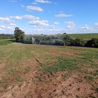 5 sinais de que sua plantação precisa de irrigação urgente

🚨 Atenção aos sinais de estresse hídrico:
1️⃣ Folhas murchas
2️⃣ Solo seco e rachado
3️⃣ Perda de cor nas folhas
4️⃣ Crescimento lento
5️⃣ Floração irregular

💡 Regar no momento certo evita perdas e garante produtividade.
.
Para saber mais, acesse o link na bio 🚜💧
.
🚜💧🌱
.
#IrrigaçãoEficiente #Agronegócio #SustentabilidadeNoCampo #ProduçãoAgrícola #DicaRural #CuidadosComAPlanta #IrrigacaoAraguaia #SistemadeIrrigacao #Agricultura #Cultivo #Plantio #Lavoura #RioGrandedoSul