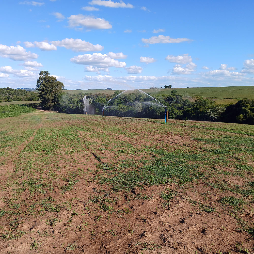 5 sinais de que sua plantação precisa de irrigação urgente

🚨 Atenção aos sinais de estresse hídrico:
1️⃣ Folhas murchas
2️⃣ Solo seco e rachado
3️⃣ Perda de cor nas folhas
4️⃣ Crescimento lento
5️⃣ Floração irregular

💡 Regar no momento certo evita perdas e garante produtividade.
.
Para saber mais, acesse o link na bio 🚜💧
.
🚜💧🌱
.
#IrrigaçãoEficiente #Agronegócio #SustentabilidadeNoCampo #ProduçãoAgrícola #DicaRural #CuidadosComAPlanta #IrrigacaoAraguaia #SistemadeIrrigacao #Agricultura #Cultivo #Plantio #Lavoura #RioGrandedoSul