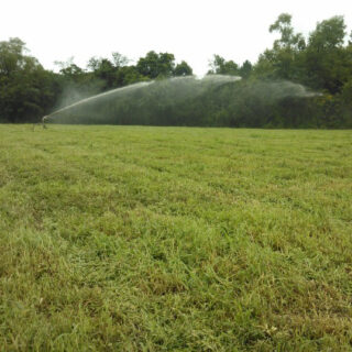 Quem irriga, cresce 🌱
Conte com a experiência de quem está há mais de 40 anos irrigando solo gaúcho para planejar sua próxima safra. 
.
Para saber mais, acesse o link na bio 🚜💧
.
 #Irrigacao #Agricultura #Agronegócio #SustentabilidadeNoCampo #ProduçãoRural #Cultivo #AraguaiaIrriga #RioGrandedoSul