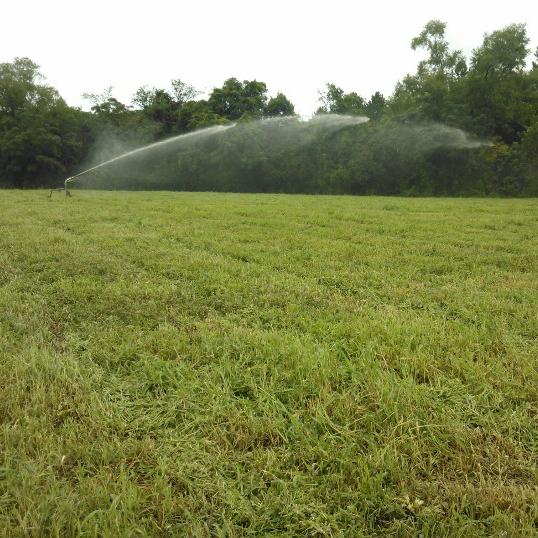 Quem irriga, cresce 🌱
Conte com a experiência de quem está há mais de 40 anos irrigando solo gaúcho para planejar sua próxima safra. 
.
Para saber mais, acesse o link na bio 🚜💧
.
 #Irrigacao #Agricultura #Agronegócio #SustentabilidadeNoCampo #ProduçãoRural #Cultivo #AraguaiaIrriga #RioGrandedoSul