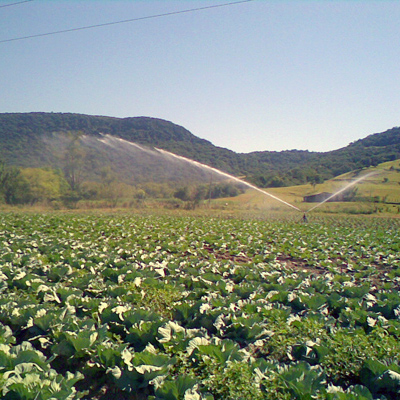Irrigação contra Geada: O "escudo" de gelo. 
❄️ Parece contraditório, mas a aspersão é uma das formas mais eficazes de proteger cultivos sensíveis contra geadas.
Ao manter o sistema ligado, forma-se uma fina camada de gelo sobre as folhas. Esse processo libera calor latente, mantendo a temperatura da planta em 0°C, enquanto o ar externo está muito mais frio. É a física trabalhando a favor da produtividade! 
🛡️🌱
Atenção: Essa técnica exige cálculo técnico e aspersores específicos. Quer proteger sua lavoura das baixas temperaturas? Fale com quem entende de projeto!
.
Acesse o link na bio e conheça o nosso trabalho 🚜💧🌱 
. 
#ProteçãoContraGeada #InvernoNoCampo #Irrigacao #Agricultura #Agronegócio #ManejoAgrícola #AgroRS #AraguaiaIrriga