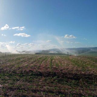 Há mais de 40 anos irrigando solo gaúcho 🚜💧🌱 
Tecnologia e confiança para o pequeno e o grande produtor. 
.
Conheça o nosso trabalho, acesse o link na bio. 
.
#Irrigacao #Agricultura #Agronegócio #PequenosProdutores #SustentabilidadeNoCampo #DicaDoCampo #RioGrandedoSul #AraguaiaIrriga