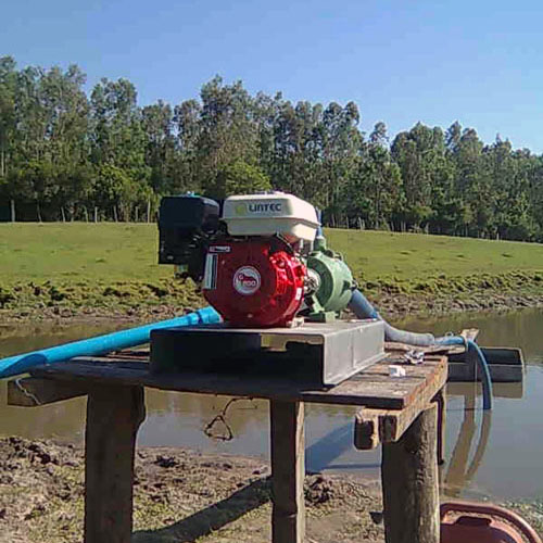 Motobombas: Potência e Economia. ⚡ 
A escolha da motobomba certa garante que você não gaste energia elétrica desnecessária. 

Oferecemos as melhores marcas com o melhor rendimento. 

Produto em estoque. Faça um orçamento 🛒 

#Motobombas #EnergiaNoCampo #IrrigaçãoEficiente #MáquinasAgrícolas #Irrigacao #Agricultura #Agronegócio #AraguaiaIrriga