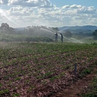 Calendário de Primavera.

A estação das flores e do recomeço! Primavera é época de tomate, abobrinha e morango. Prepare sua irrigação para a estação mais vibrante do ano.

 Há mais de 40 anos irrigando solo gaúcho 🚜💧🌱 

Acesse o link na bio e conheça o nosso trabalho. 

#PrimaveraNoCampo #CulturasDaEstação #Hortifruti #AgroBrasil #AraguaiaIrriga