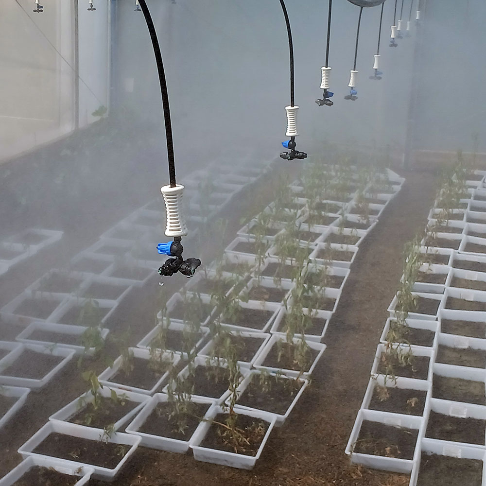 Sensores e Tecnologia. 

Irrigar com precisão significa saber exatamente o que o solo precisa. 

O uso de sensores evita o excesso de água e potencializa o desenvolvimento das plantas. 

Acesse o link na bio e faça um orçamento 🚜💧 
Quem irriga, cresce 🌱 

#AgriculturaDigital #SensoresDeSolo #PrecisãoNoCampo #TecnologiaHídrica #InovaçãoAgro