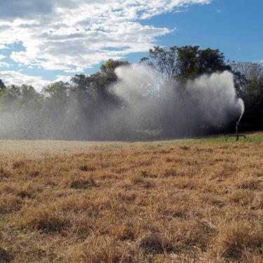 Manejo de Inverno. 

O inverno exige cuidados contra geadas. 
Sistemas de irrigação bem manejados podem ser aliados na proteção de algumas culturas. 

Converse com nossos técnicos! 
Para saber mais, acesse o link na bio 🚜💧

Quem irriga, cresce 🌱

 #ManejoDeInverno #ProteçãoDeCulturas #AgroRS #ConhecimentoTécnico #AraguaiaIrriga