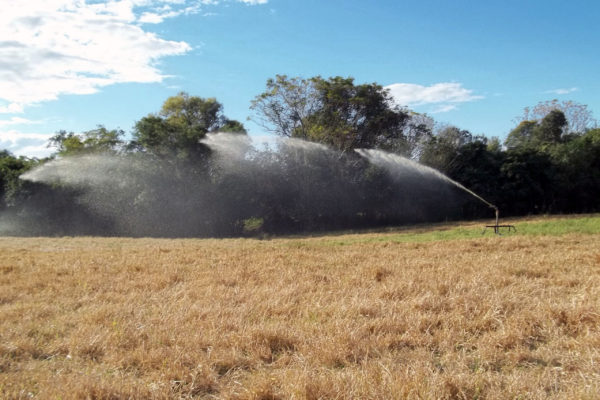 Irrigação para pastagem em Toropi