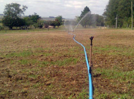 Irrigação para pastagem em Júlio de Castilhos