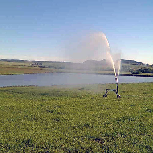 Orgulho Gaúcho.
De Santa Maria para todo o Rio Grande do Sul.
Temos orgulho de nossas raízes e de levar soluções que entendem os desafios específicos do solo e do clima da nossa região.
Conheça o nosso trabalho, acesse o link na bio.
Há mais de 40 anos irrigando solo gaúcho 🚜💧🌱
#SantaMariaRS #RioGrandeDoSul #AgroGaucho #OrgulhoGaúcho #AraguaiaIrriga
